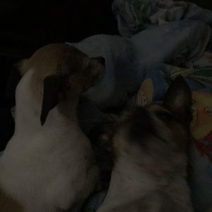 Meet your Posher, Kim